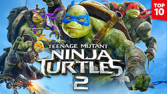 Teenage Mutant Ninja Turtles 2 (2016)